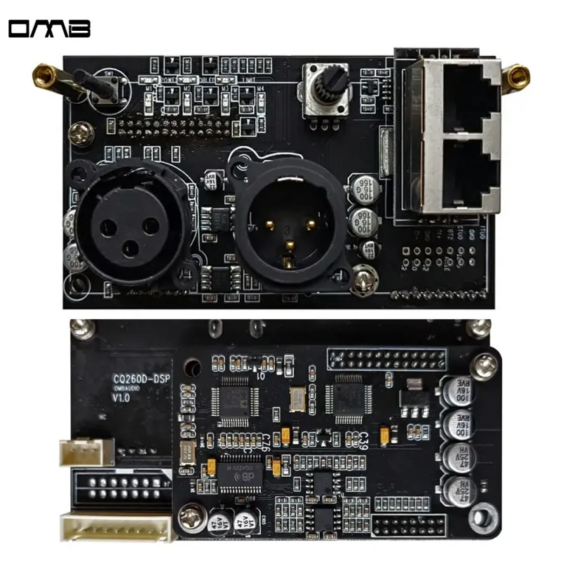 CQ260D Factory Supply Customized Multi Function Plate Class D Amplifier Board With Dsp