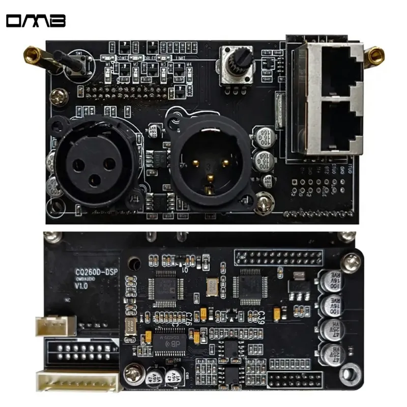 CQ260D Factory Supply Customized Multi Function Plate Class D Amplifier Board With Dsp