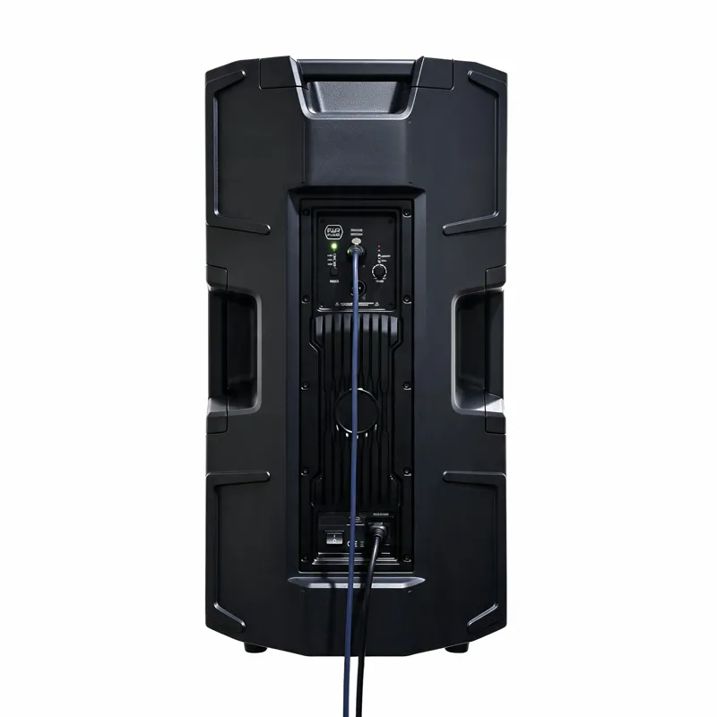ART915-A Professional Active Loudspeaker DSP Control No Bluetooth for Multi-Scenario Use